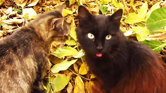 해삼의 식사시간 | 인스티즈