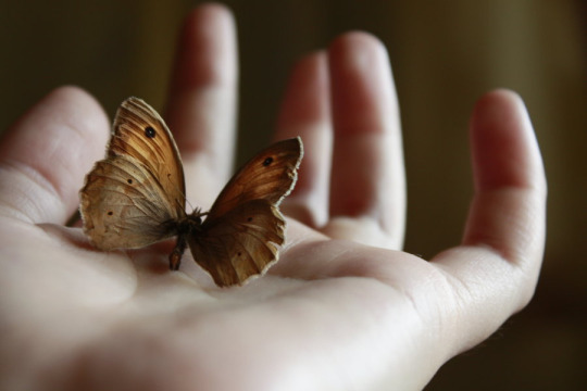  나는 사람을 기다리는 시간이 좋다 | 인스티즈