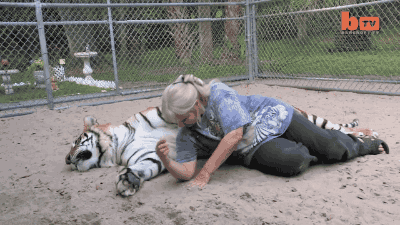 우리 냥이는 안물어요 | 인스티즈