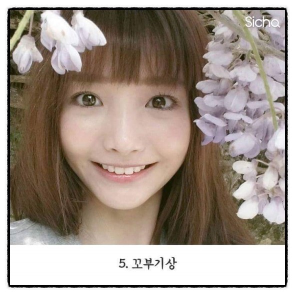 자신의 얼굴 인상은 어디에 해당하나요..? | 인스티즈