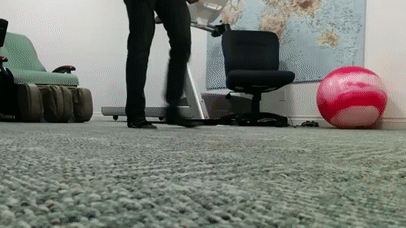 푸쉬업할때 개와 고양이의 반응.gif | 인스티즈