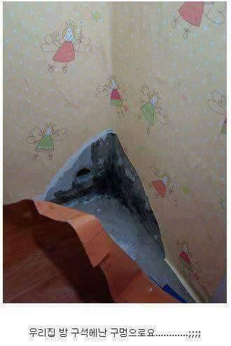 셀프 인테리어 레전드 | 인스티즈