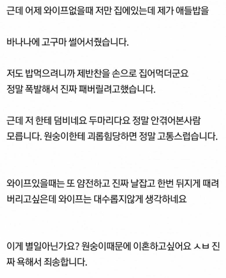 원숭이와의 신혼생활 | 인스티즈