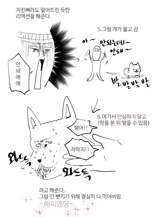 멍뭉이에게 약을 쉽게 먹이는 방법 | 인스티즈