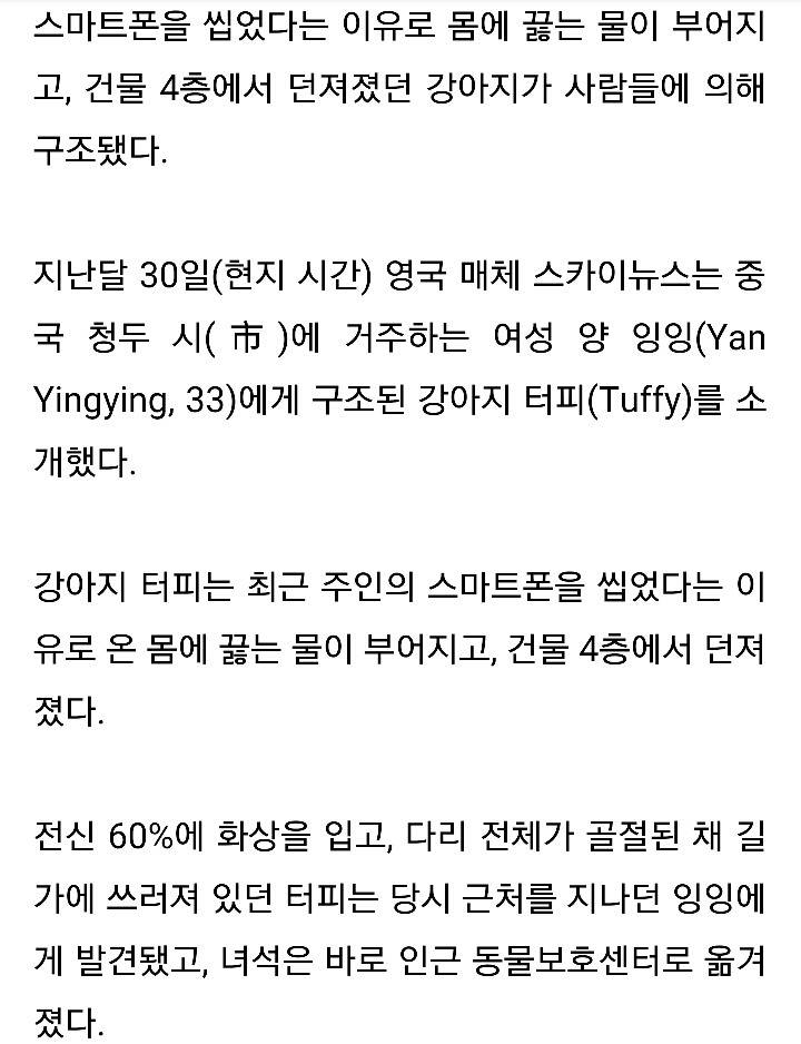 스마트폰 씹었다고 반려견에 끓는 물 부은 주인 | 인스티즈