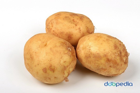 감자vs고구마 | 인스티즈