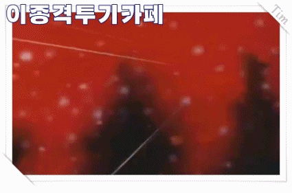 하늘을 날아 꽂다 | 인스티즈