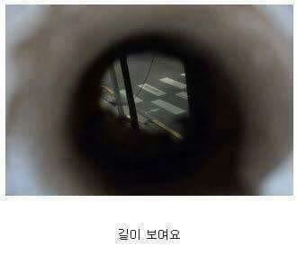 셀프 인테리어 레전드 | 인스티즈