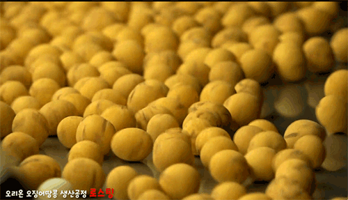 오땅의 탄생기(feat.띵콘땅콩) | 인스티즈