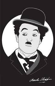 상점에 살고 있는 홍콩 고양이들 | 인스티즈