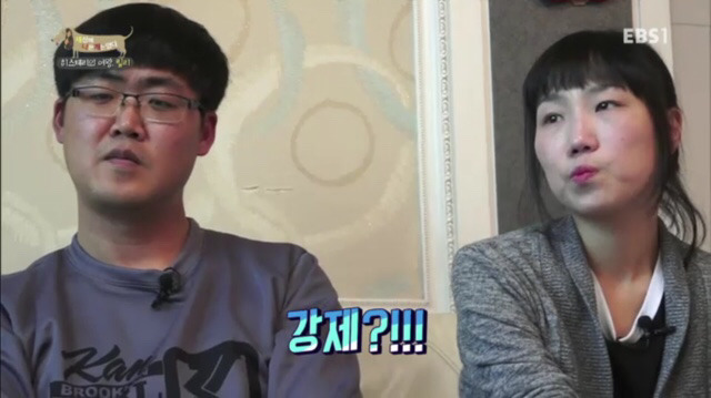 교배 업체에 보낸 후 사나워진 강아지 릴리 | 인스티즈