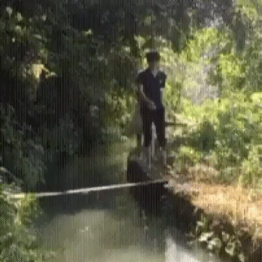 외나무 다리를 건너는 커플 | 인스티즈