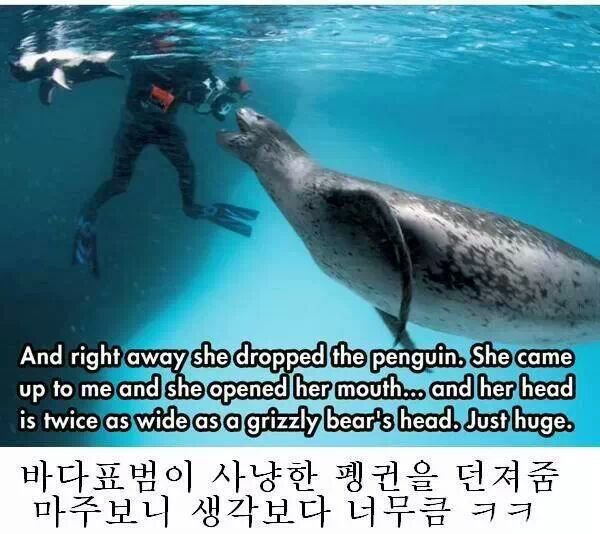 네셔널 지오그래픽 레전드 사건 | 인스티즈