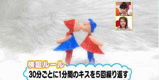 실험))첫 만남에 키스를 하게 되면 사랑에 빠질까??..gif | 인스티즈