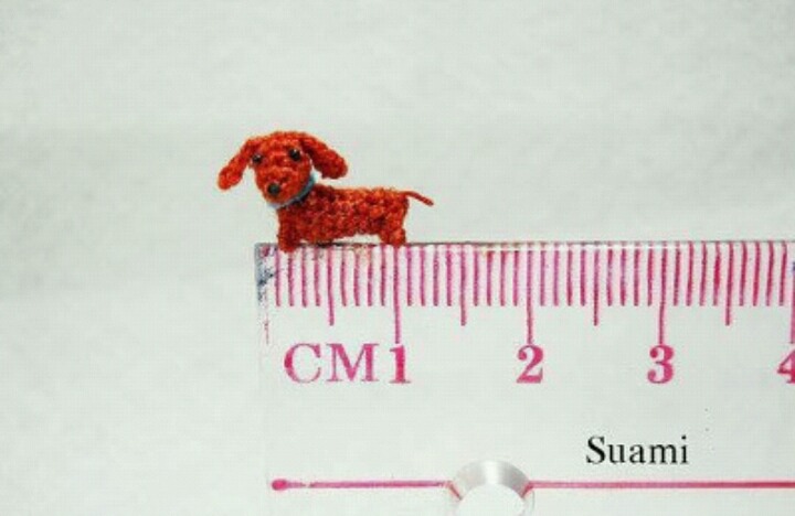 세상에서 가장 작은 뜨개질 | 인스티즈