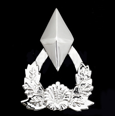 군생활 할때 제일 빡치게 하는 계급은? | 인스티즈