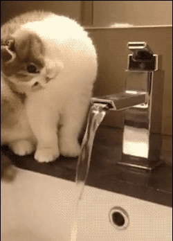 좀 더 가까이 가야 먹을 수 있어!.gif | 인스티즈