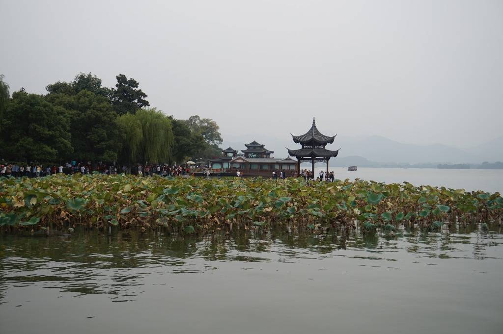 안녕하세요 헤르초그입니다 중국 항저우 서호 사진입니다 | 인스티즈