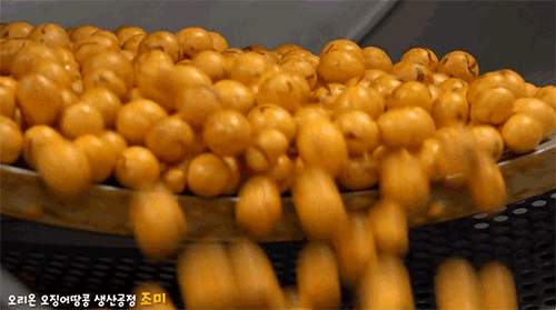 오땅의 탄생기(feat.띵콘땅콩) | 인스티즈