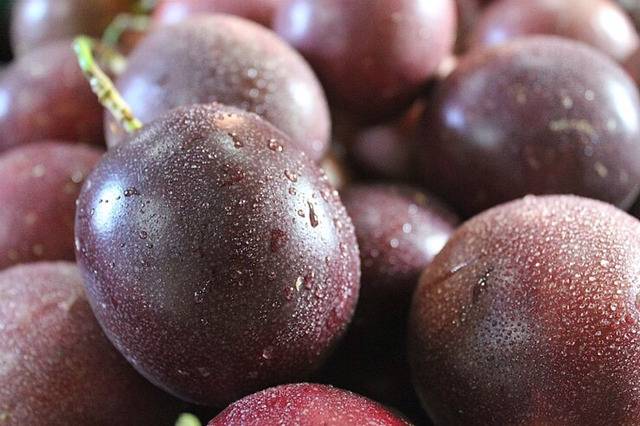 의외로 후르츠향이 왜 후루츠향인지 모르는 사람들이 많음 | 인스티즈