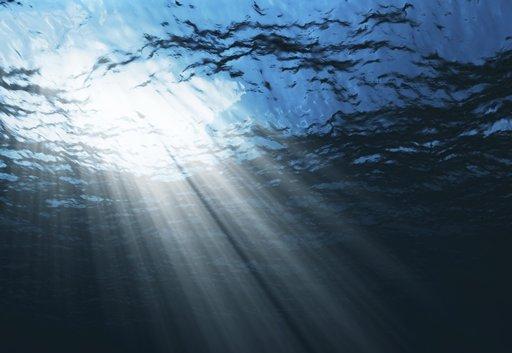 내가 봤을때 숨막히고 무서운 느낌이 드는 바다짤 모아옴 (심해공포증 주의) | 인스티즈