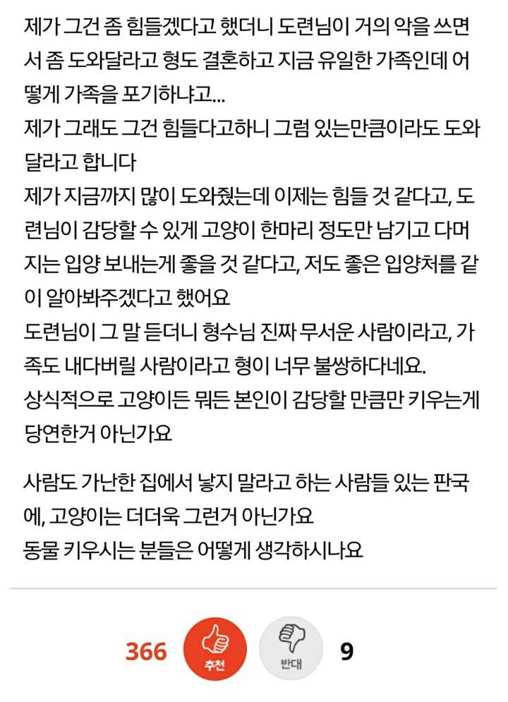 제가 가족도 내다버릴 사람이래요. 그렇게 생각하세요? | 인스티즈