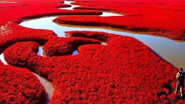 대륙에서 무협작품이 가능했던 이유 | 인스티즈