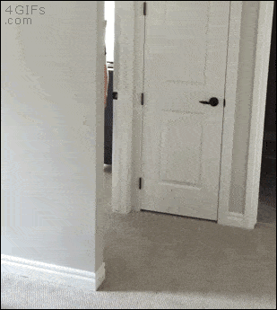 나 심각하다.gif | 인스티즈