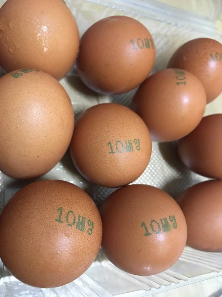 기분나쁜 계란 JPG | 인스티즈