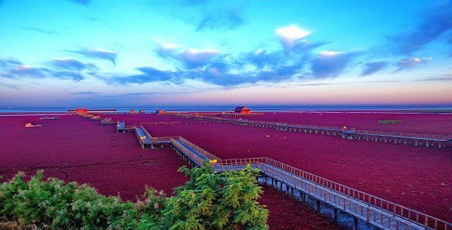 대륙에서 무협작품이 가능했던 이유 | 인스티즈