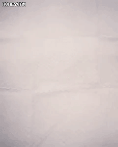 냥이 에스테틱 서비스 | 인스티즈