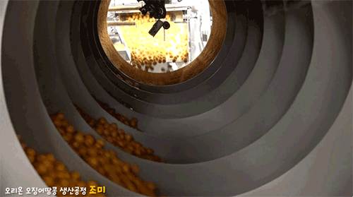 오땅의 탄생기(feat.띵콘땅콩) | 인스티즈