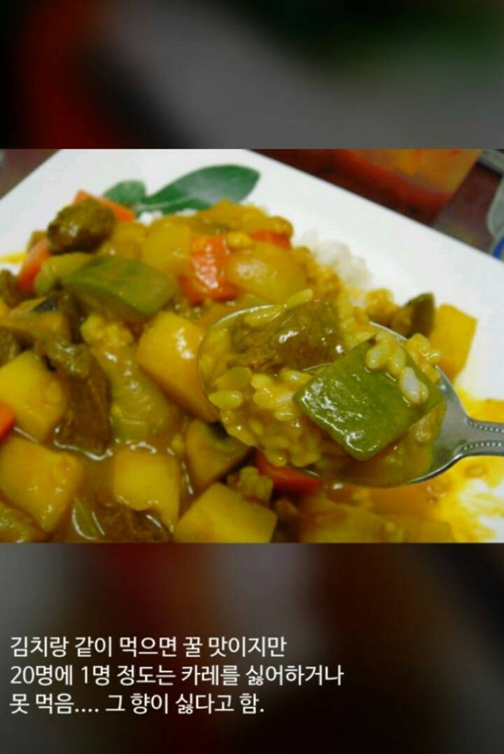 은근히 못먹는 사람이 많은 음식들 | 인스티즈