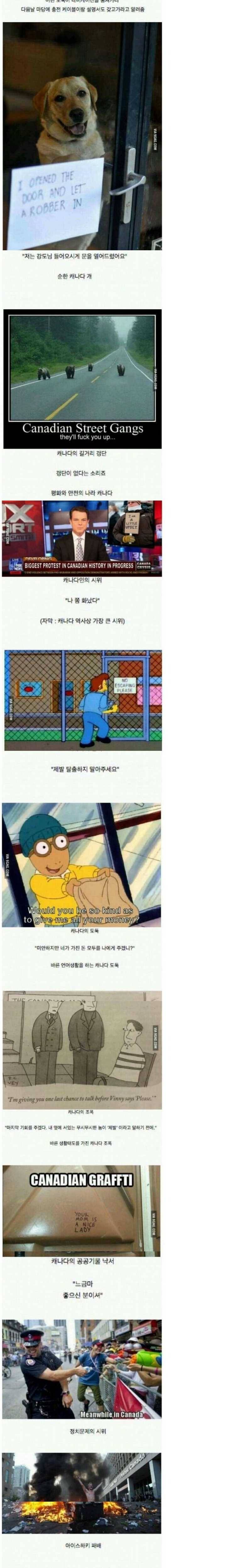 단풍국의 일상 | 인스티즈