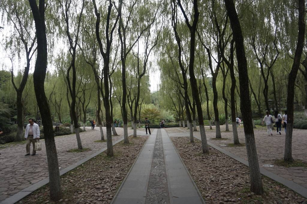 안녕하세요 헤르초그입니다 중국 항저우 서호 사진입니다 | 인스티즈