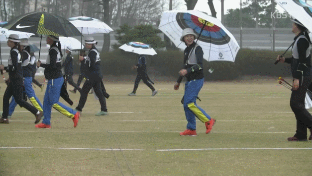 양궁선수들이 쓰고다니는 우산 | 인스티즈