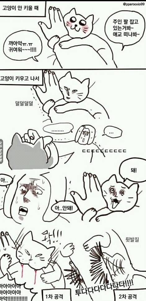 고양이 키우기 전과 후 | 인스티즈