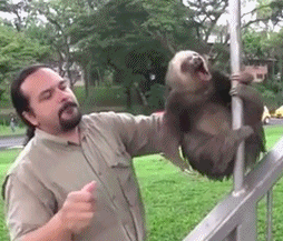 아이고 동네사람들!! 여기 좀 보세요!! | 인스티즈