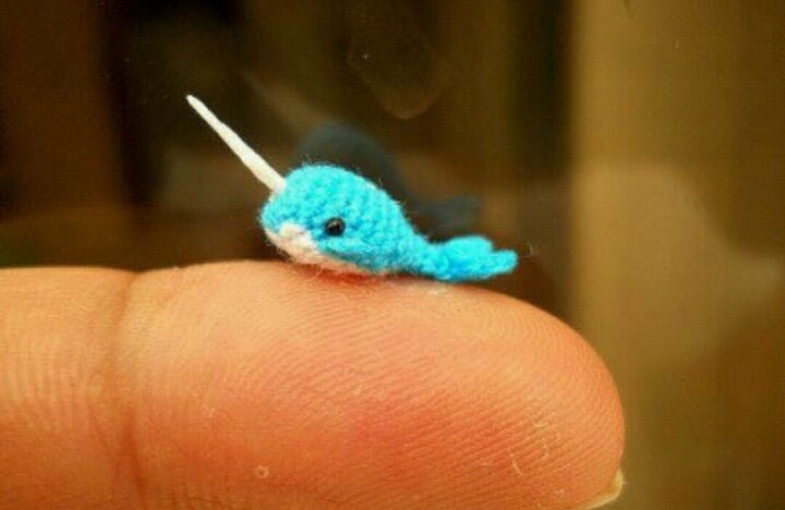 세상에서 가장 작은 뜨개질 | 인스티즈