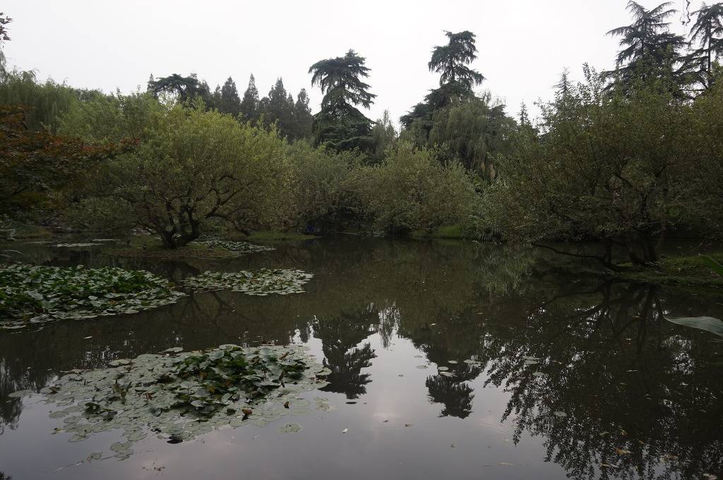 안녕하세요 헤르초그입니다 중국 항저우 서호 사진입니다 | 인스티즈