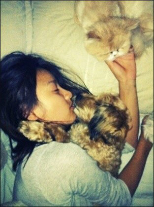 다시는 개 안키운다 | 인스티즈