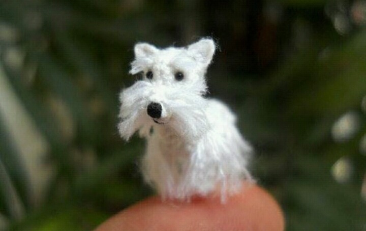 세상에서 가장 작은 뜨개질 | 인스티즈