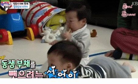 사랑둥이들 서언 서준이 | 인스티즈