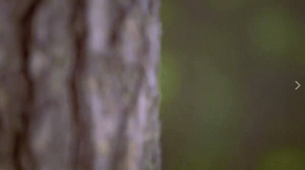 청순컨셉도 잘어울리는 트와이스 ㅎㄷㄷ | 인스티즈