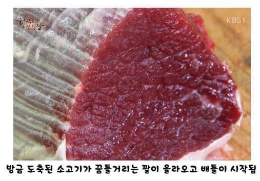 문과 vs 이과 역대급 배틀 | 인스티즈