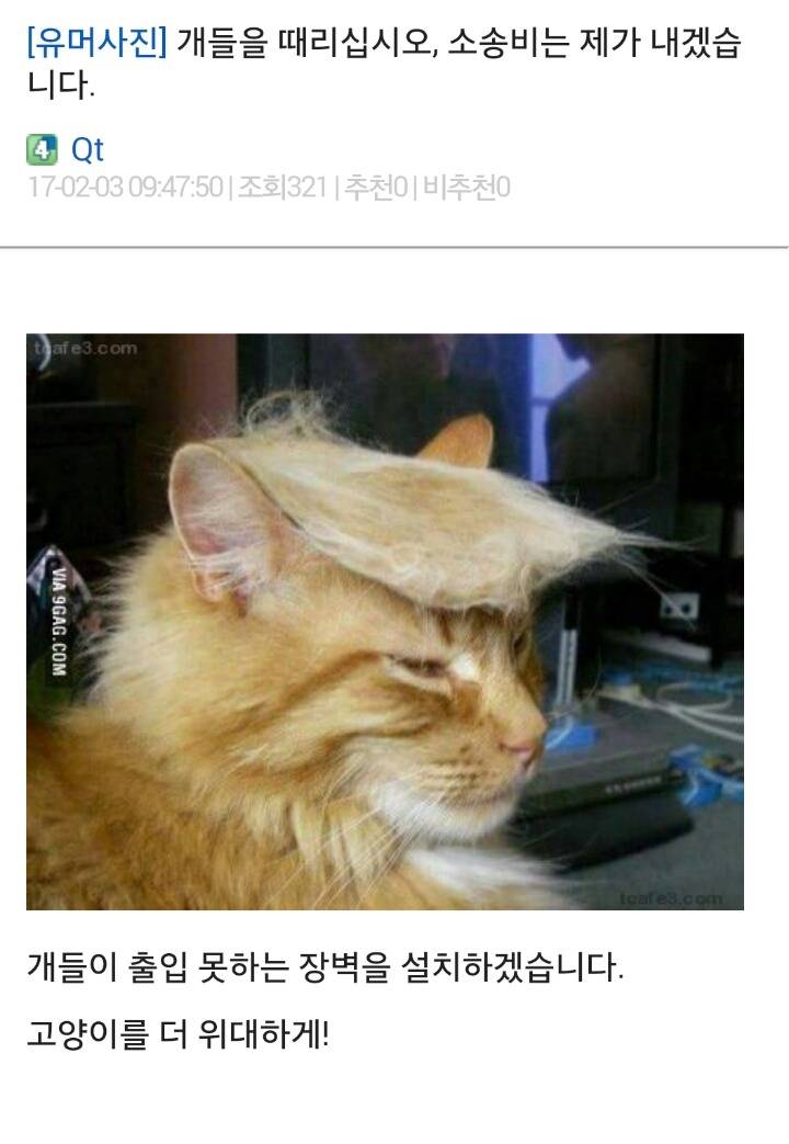 개들을 때리십시오 소송비는 제가 내겠습니다 | 인스티즈