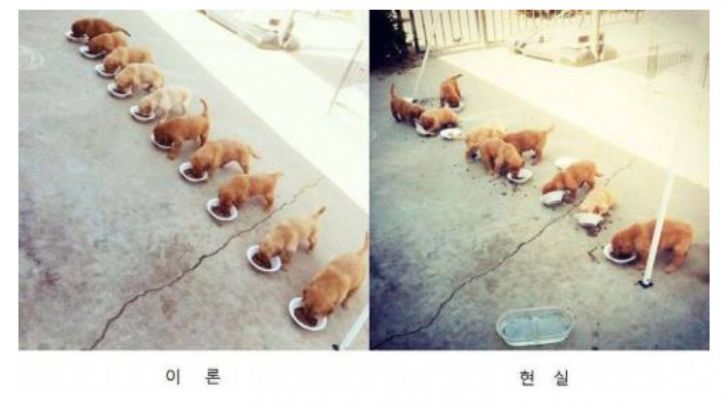 멀티코어. 멀티쓰레드의 이론 VS 현실 | 인스티즈