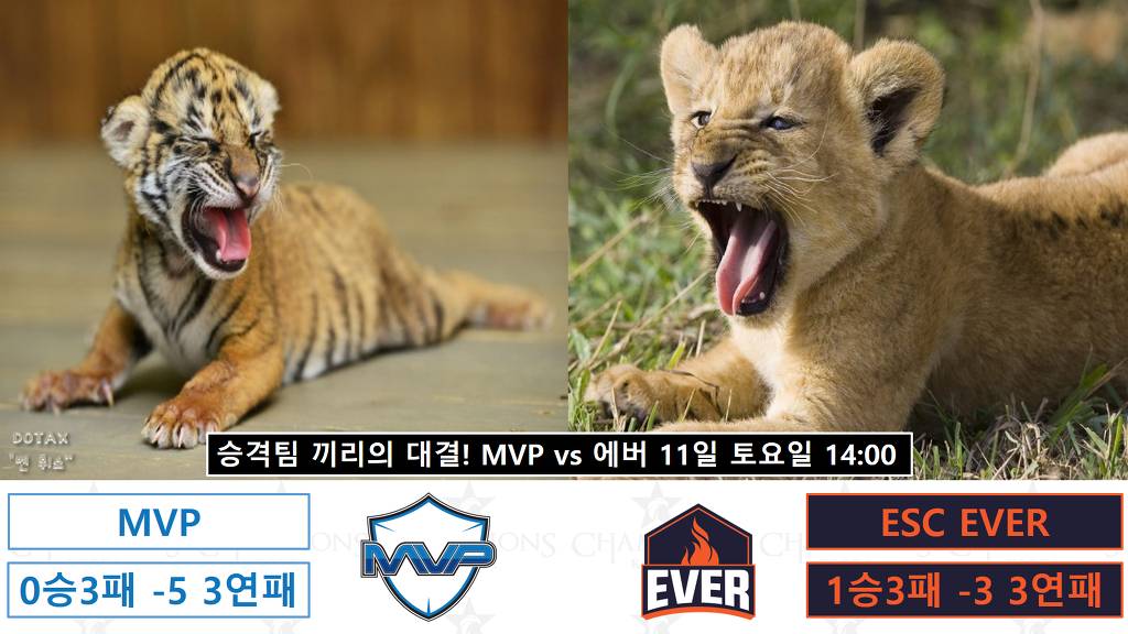 [onair] 코카-콜라 제로 LCK서머 6월 11일 경기 안내 (2시시작) | 인스티즈