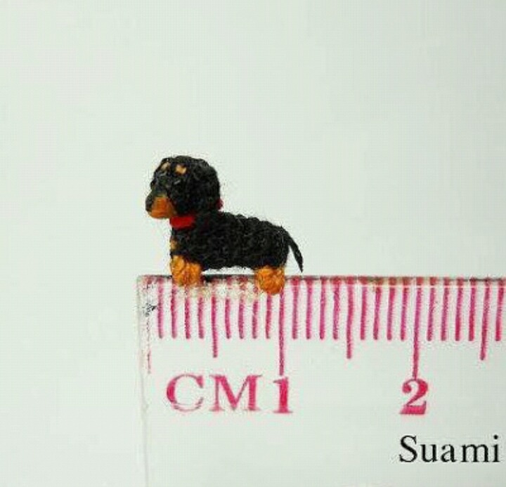 세상에서 가장 작은 뜨개질 | 인스티즈