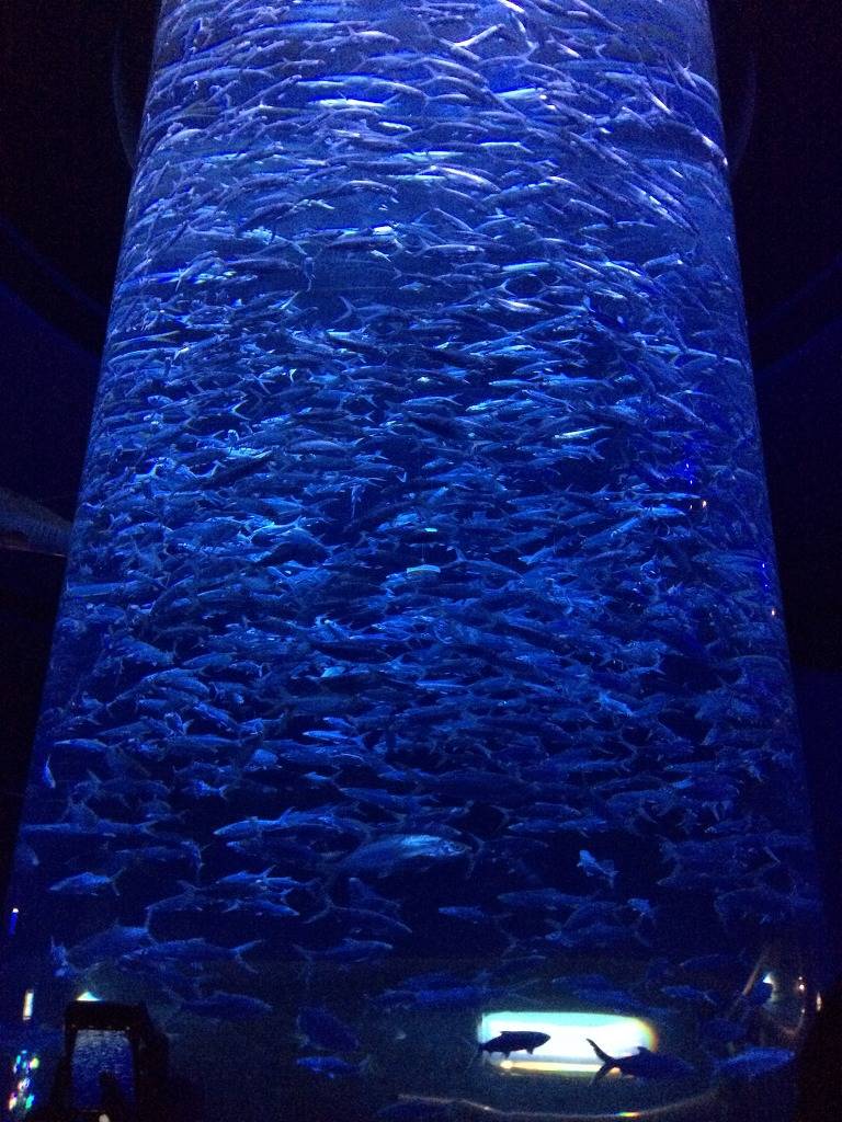 남들만 가는 줄 알았던 외국여행 저도 한 번 갔다옴 ㅎㅎㅎ | 인스티즈